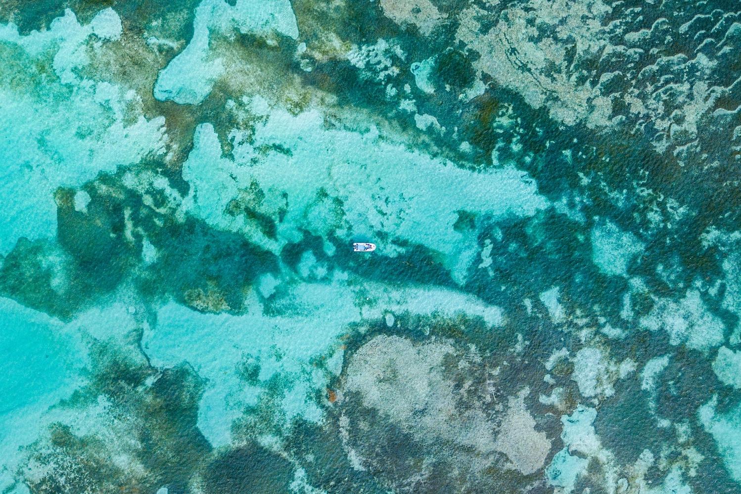 aerial shot of boat sailing through the great barrier reef