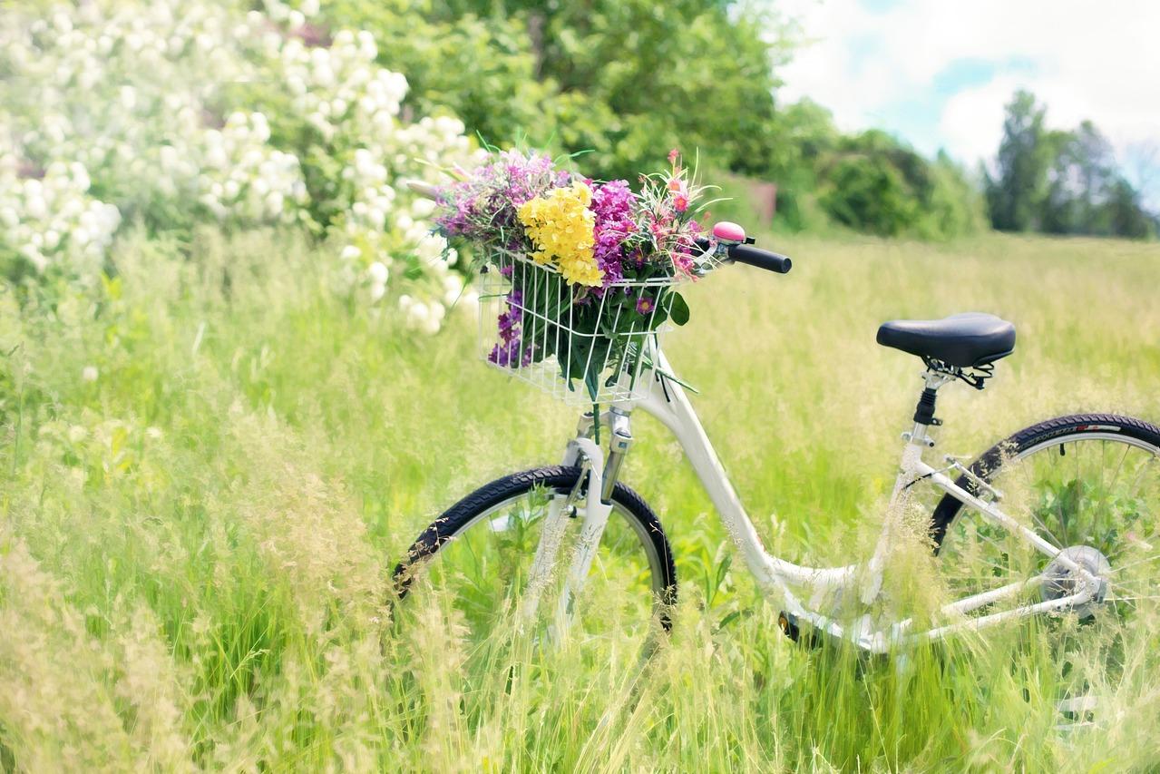 bicycle with flowers in the basket in a meadow during springtime