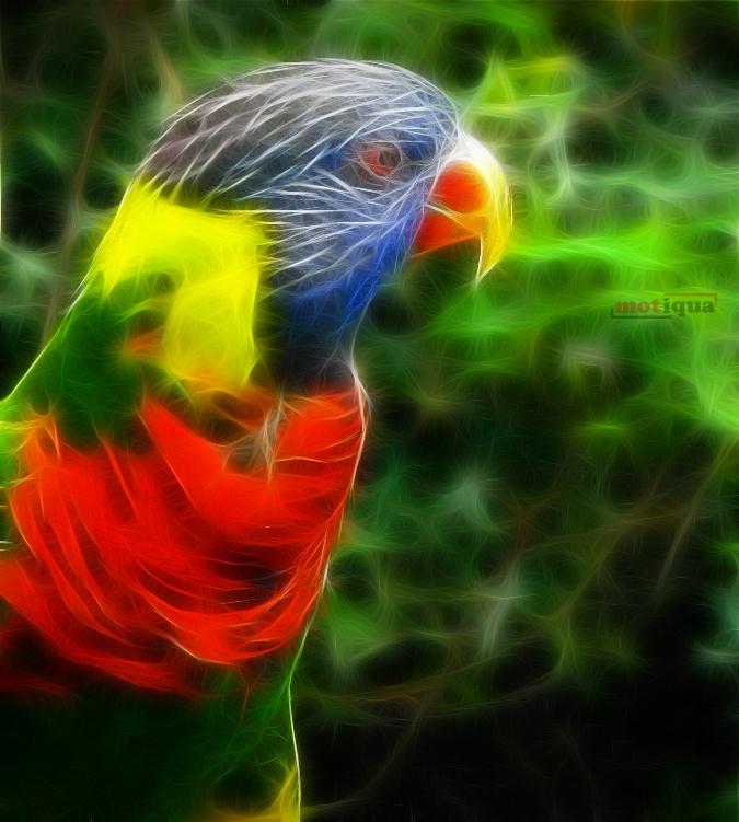 digital-parrot.jpg