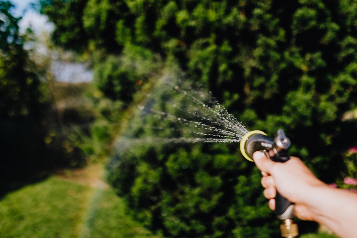 hand watering the lawn with a hose - water conservation 