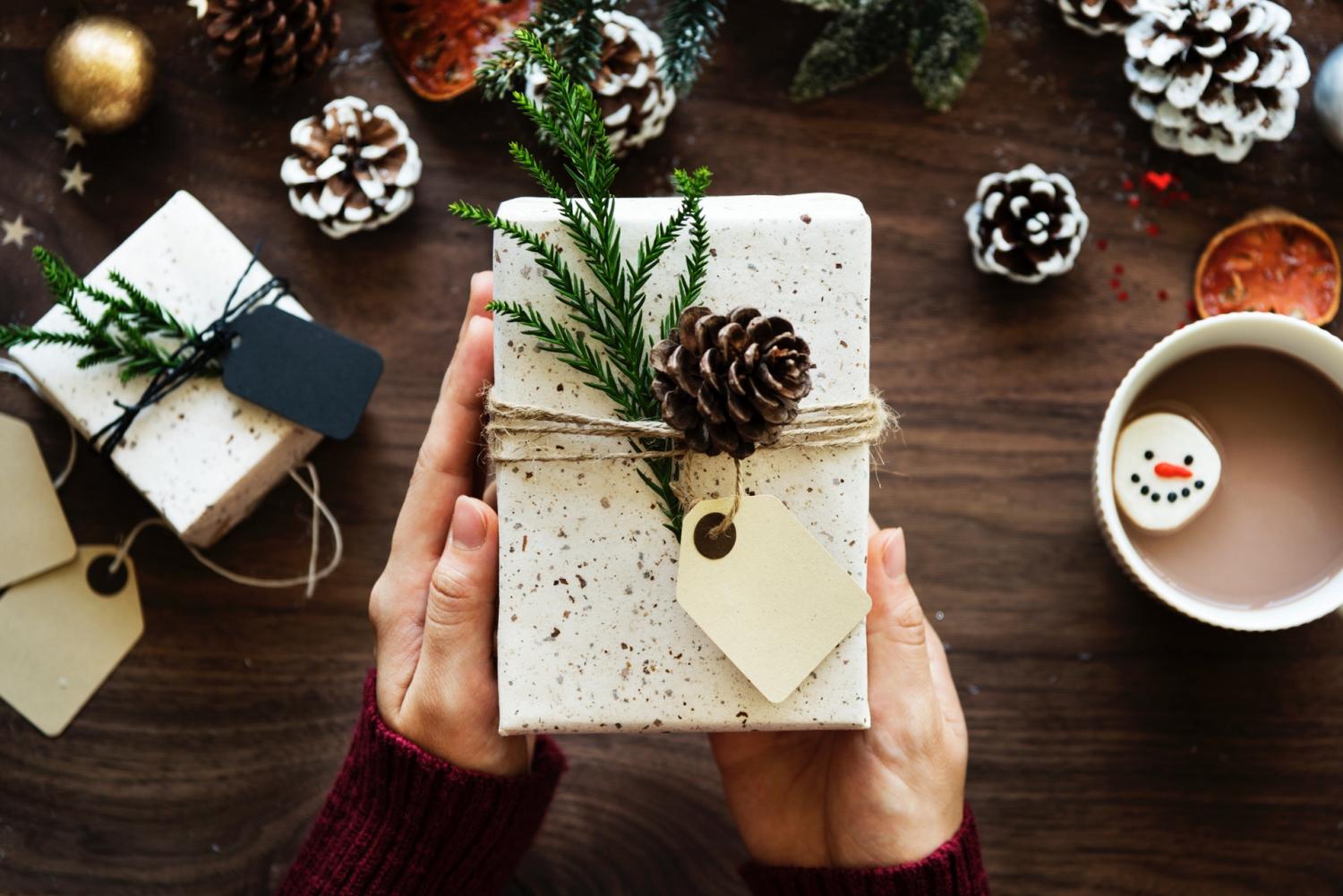 sustainable holiday gifts