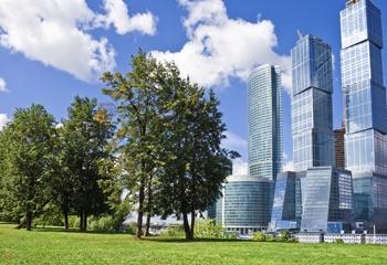 iStock_trees_and_buildings000011005317Large1.jpg