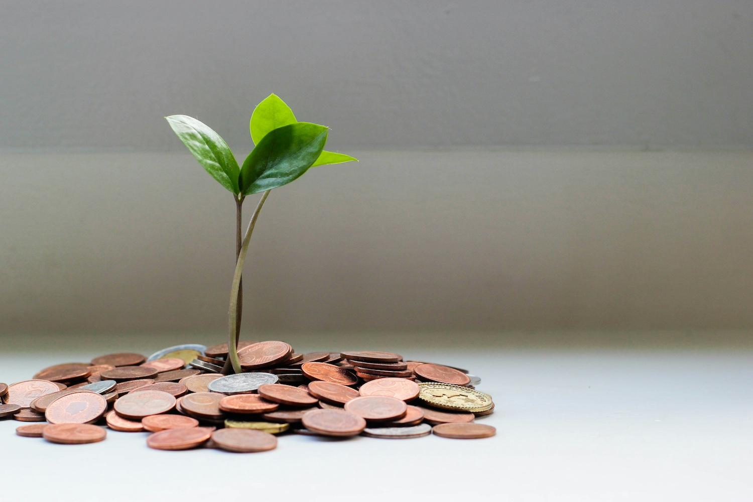 A plant sprouting from a pile of coins. 