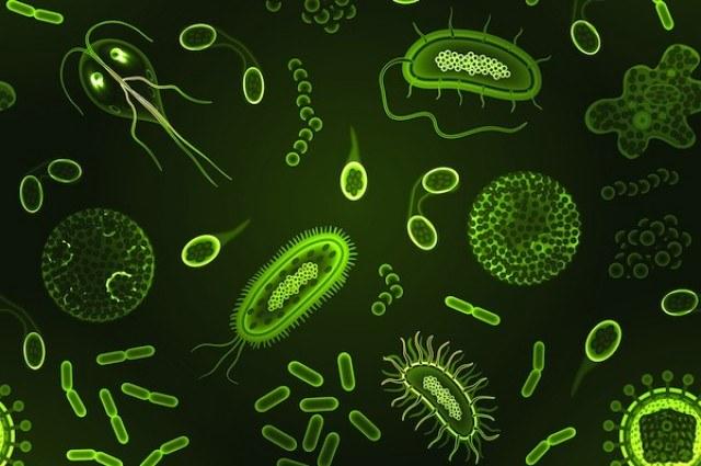 microbes.jpg
