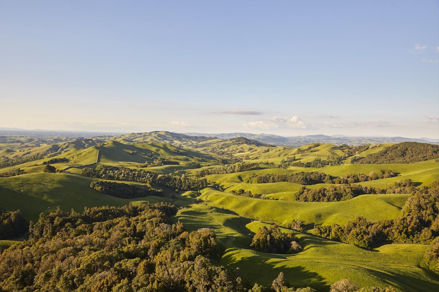 new zealand grasslands and rolling hills - sustainable agriculture
