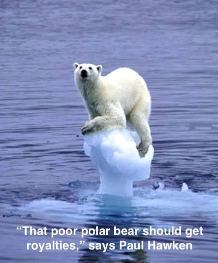 polar-bear-iceberg.jpg