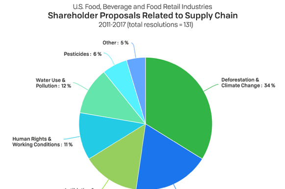 Shareholder Proposals Pie Chart