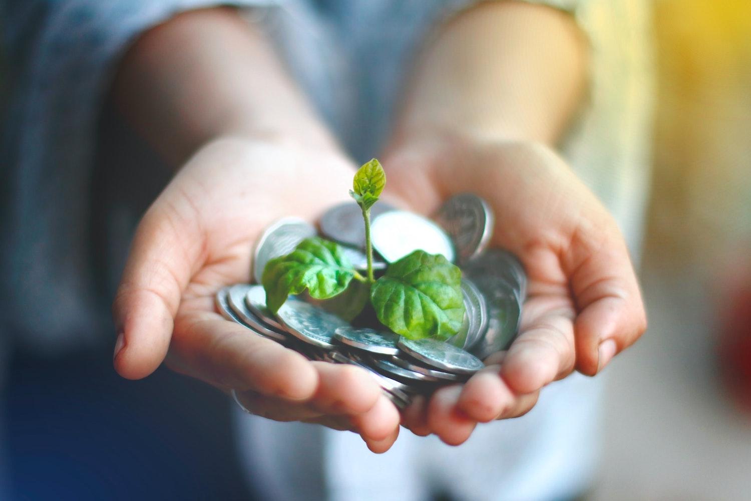 woman holding coins with plant growing out - sustainable finance - sustainability - green bonds