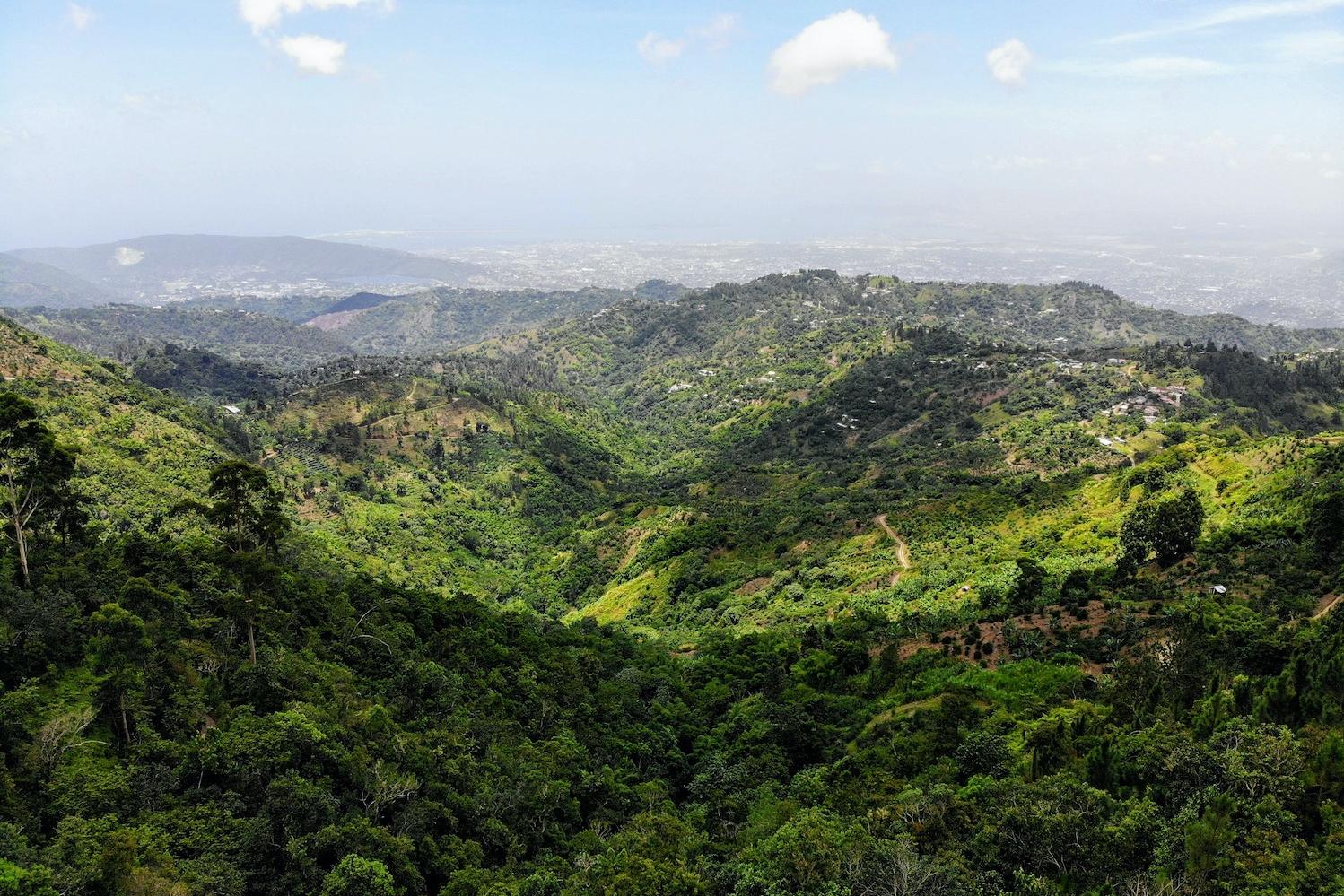 The Blue Mountains mountain range in Jamaica. 