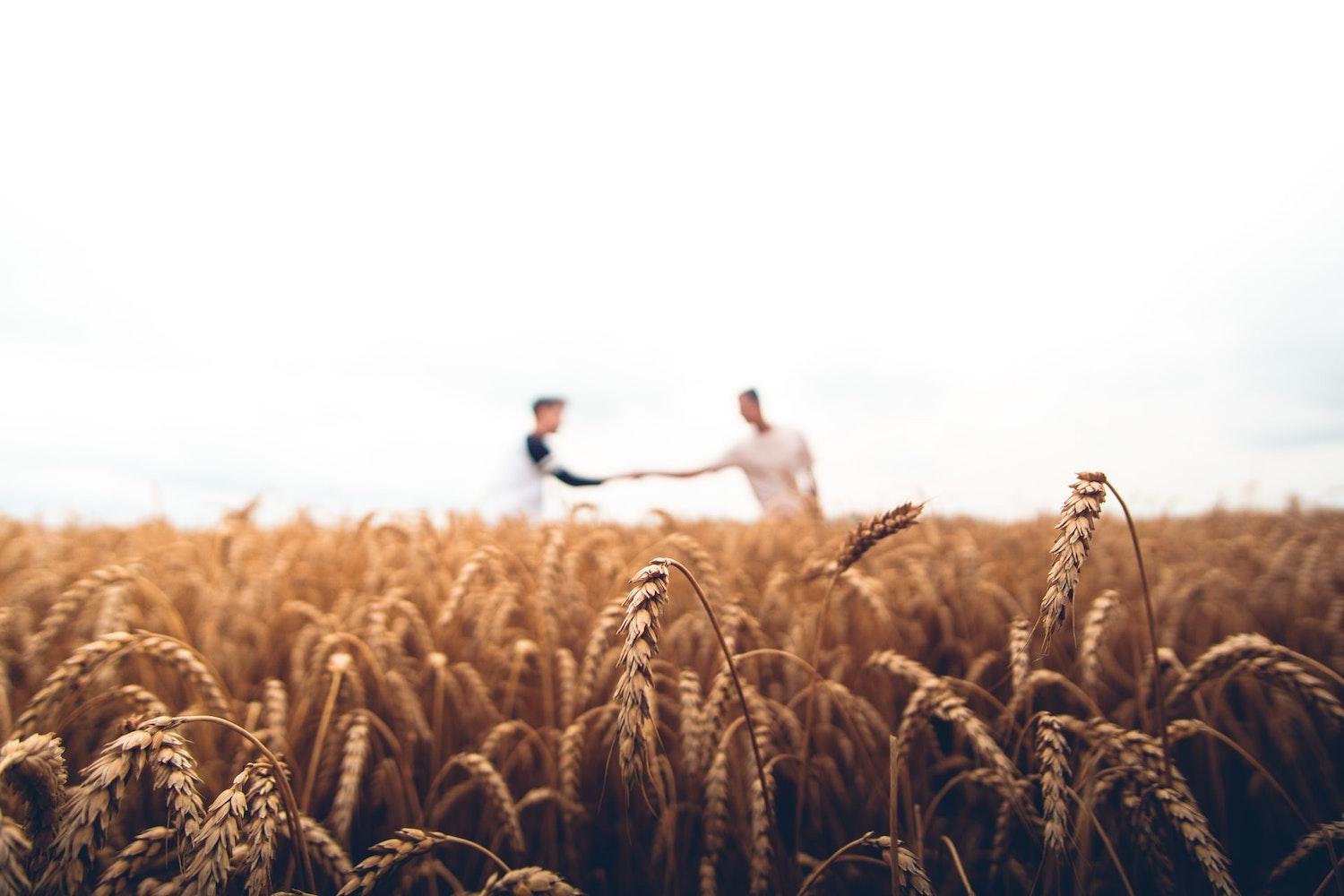 partnerships in sustainable agriculture