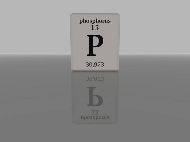 6258029304_ebcdb05e57_z.jpg