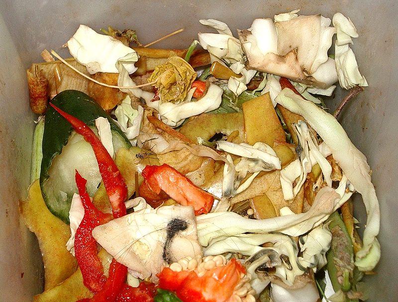 800px-Biodegradable_waste.jpg
