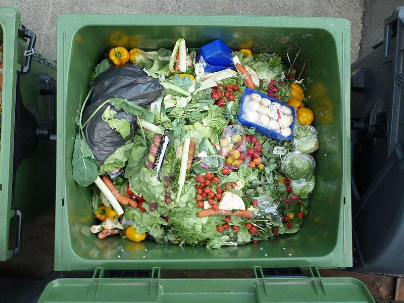 800px-Treasure_trove_of_wasted_food.jpg