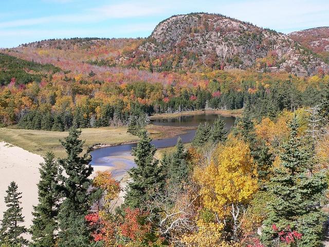 90-percent-of-Maine-is-covered-by-forests.jpg