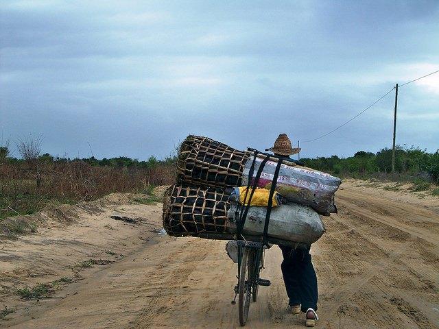 A-charcoal-collector-in-Mozambique.jpg