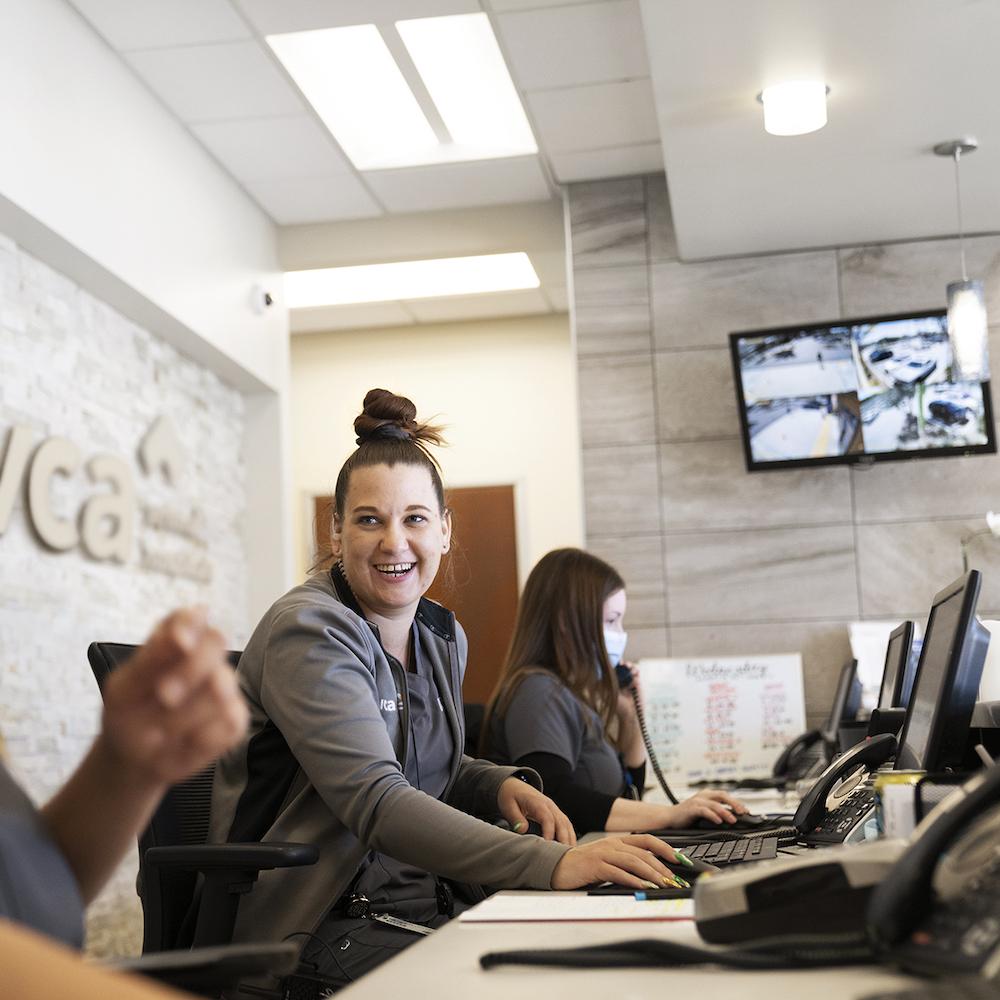 VCA Animal Hospitals employees veterinary office