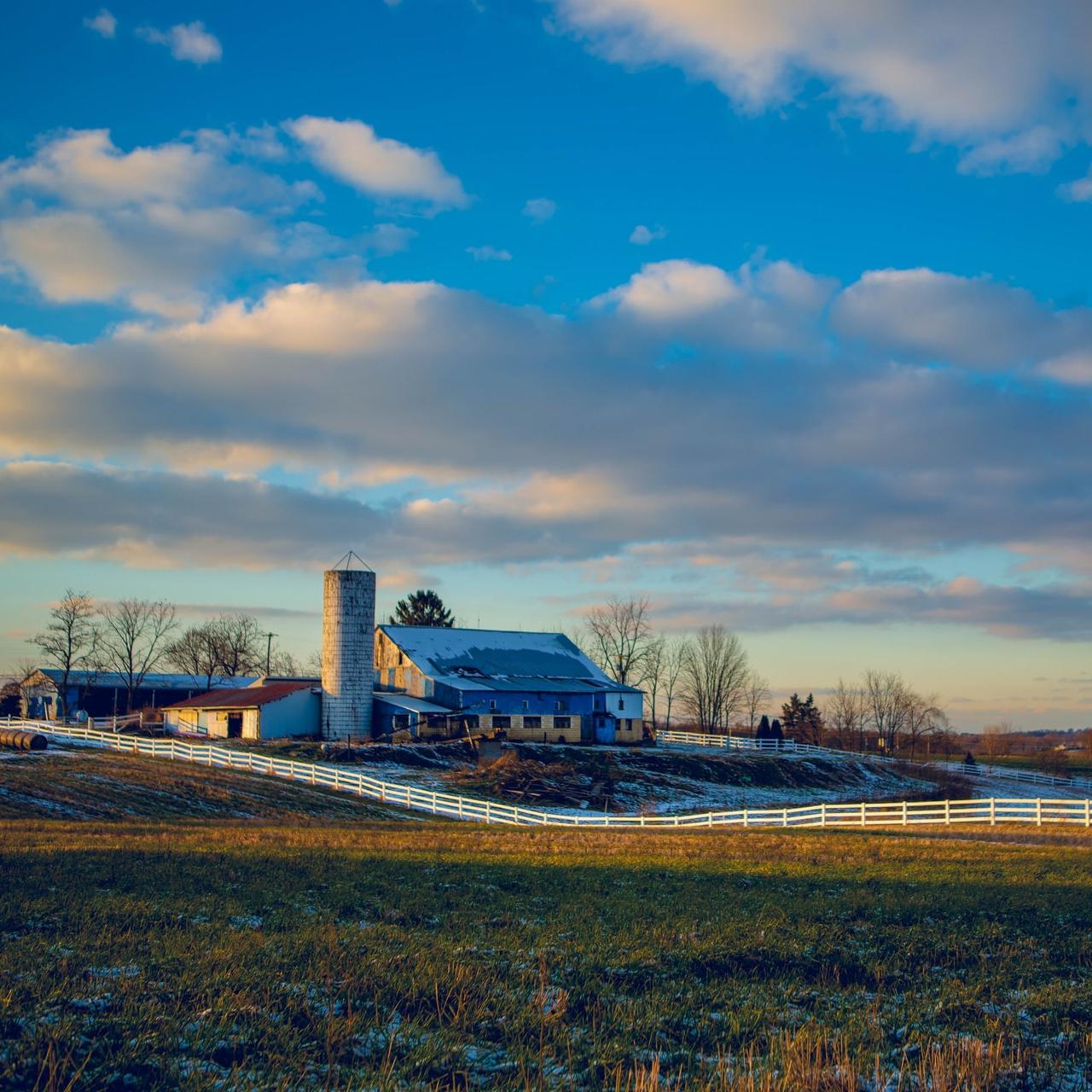 Agriculture