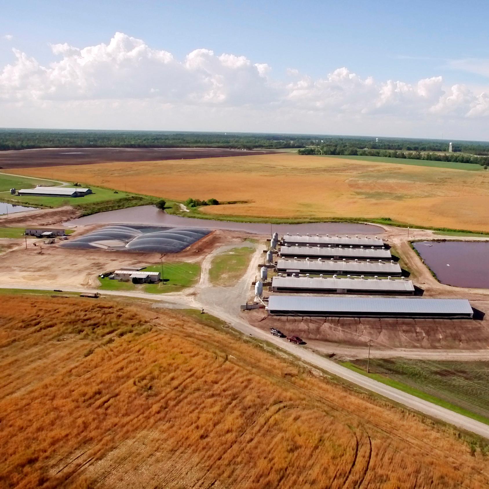 GHG measurement in agriculture