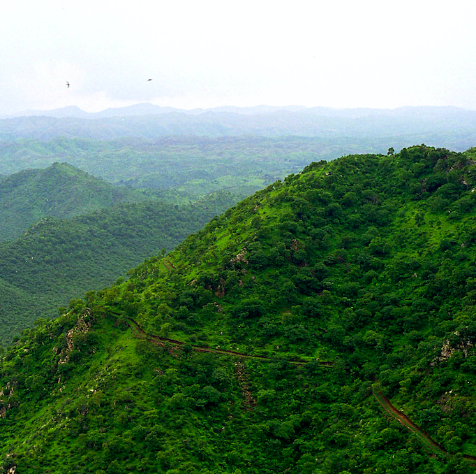 Aravali Hills