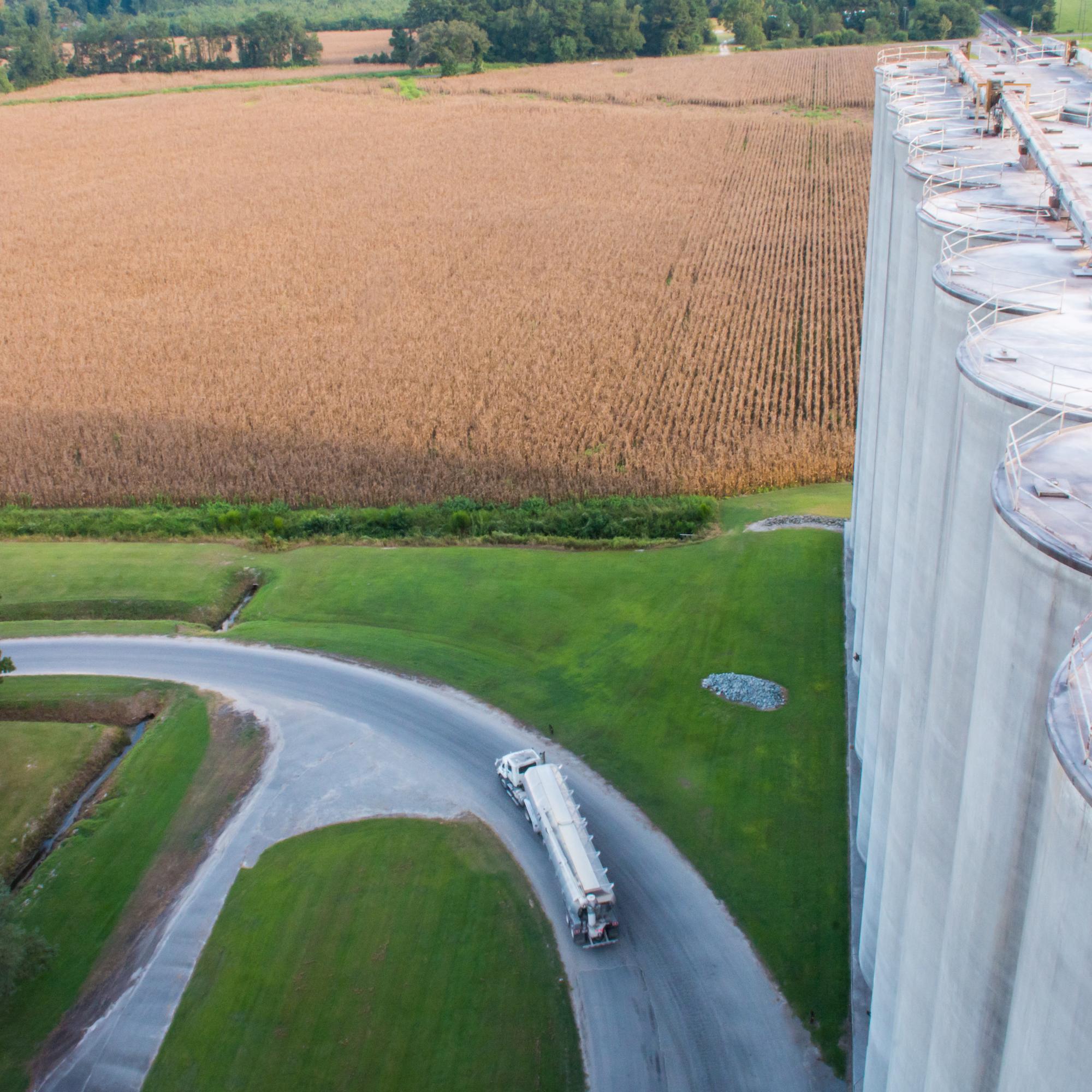 sustainable animal feed