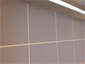Backsheet-Crack-2-Photo.jpg