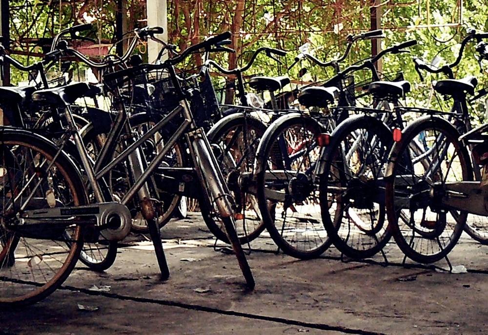 Bicycles-by-Vivera-Siregar.jpg Bicycles-by-Vivera-Siregar.jpg