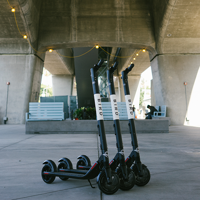 Bird scooters