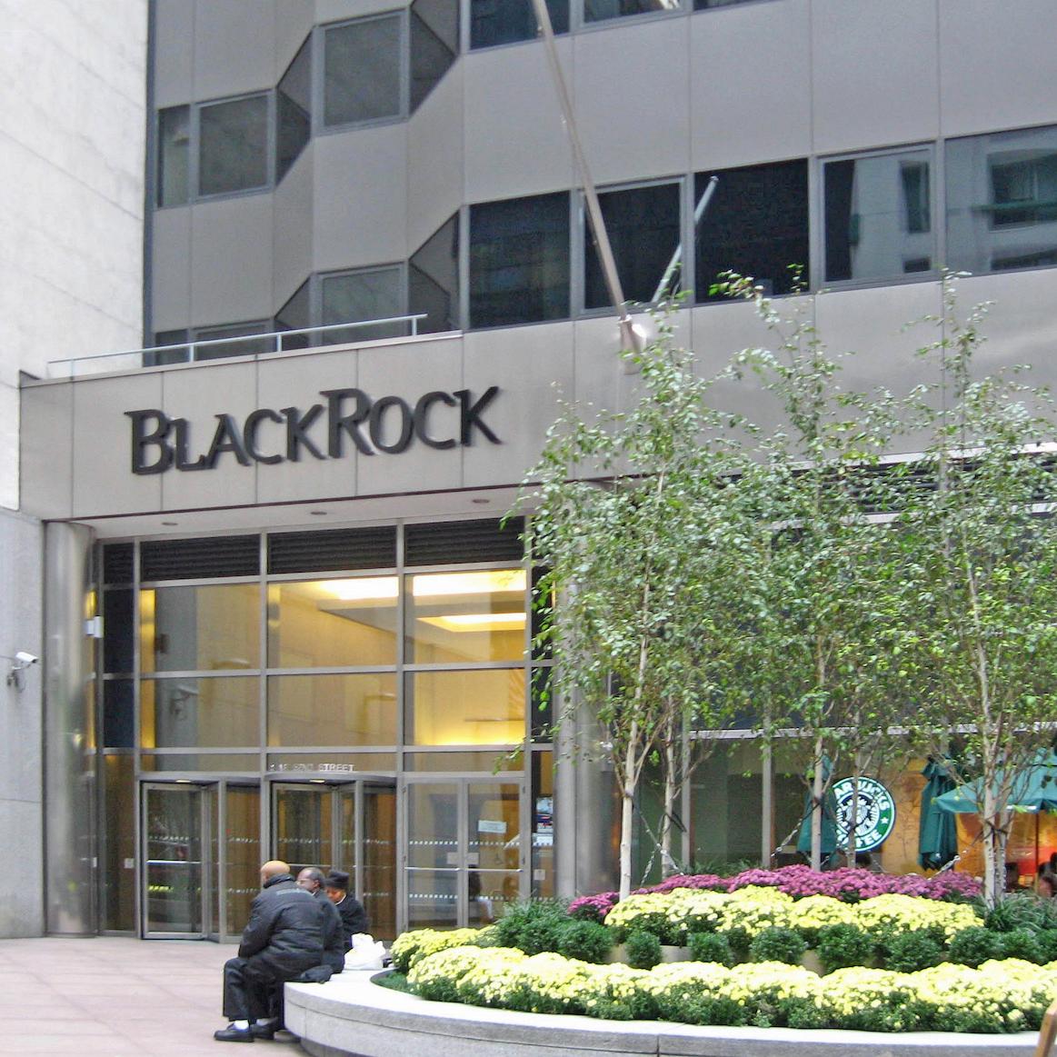 BlackRock claps back at criticism of fossil fuel investments