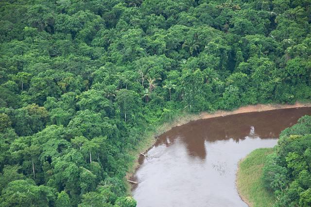 Bolivias-forests-are-one-region-succeptible-to-soy-and-cattle-production.jpg