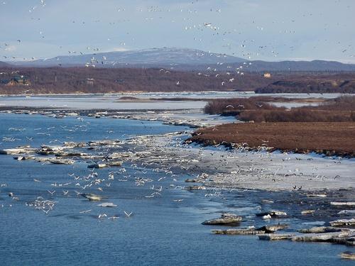 Bristol-Bay1.jpg