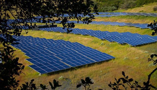CDP-cites-carbon-pricing-as-one-factor-in-more-investments-in-renewables.jpg