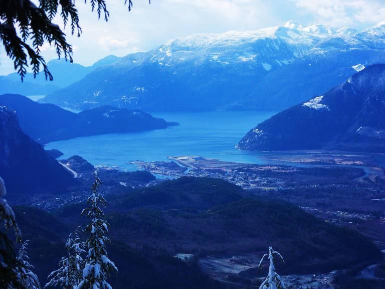 Canada_softwood_lumber_BC_JenniferC.jpg