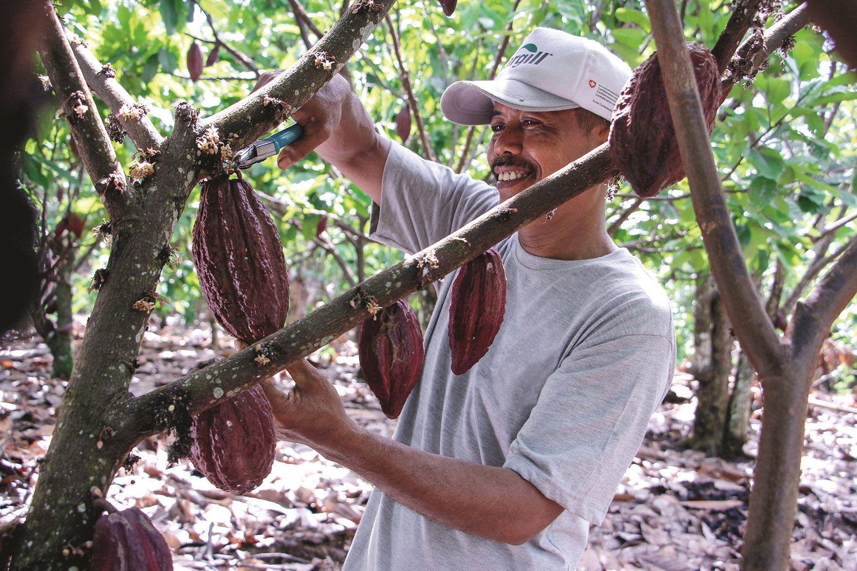 Cargill-CC-CCP-Report-2015__4574.jpg Cargill-CC-CCP-Report-2015__4574.jpg