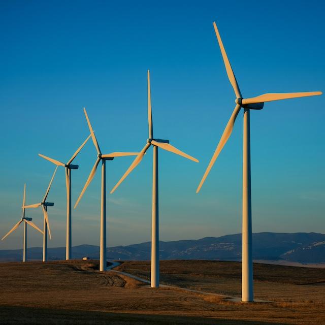 A row of wind turbines — climate transition plan