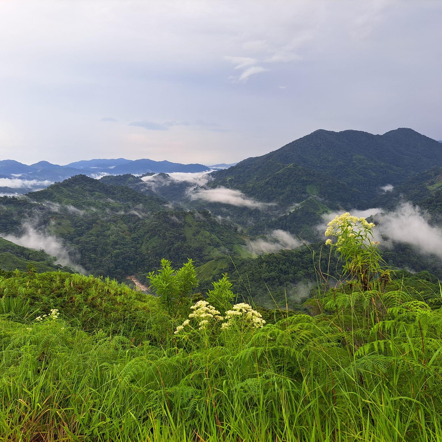 Sierra Nevada National Park in Northern Colombia