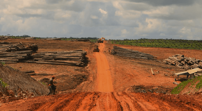 Cleared-rain-forest-in-a-remote-area-of-Indonesian-Papua.png