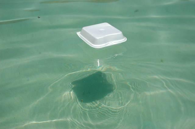 Critics-say-foam-containers-are-an-overwhelming-trash-problem-but-recycling-programs-often-trump-an-outright-ban.jpg