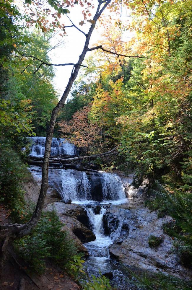 DSC_9403-copy.jpg
