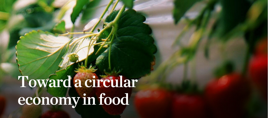 Danone-circular-economy.png