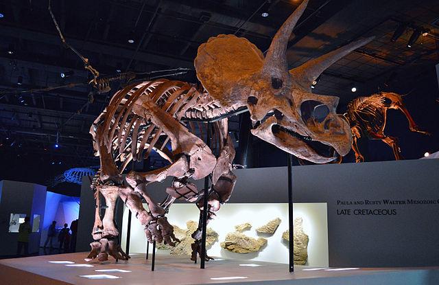 Dinosaurs-are-now-petroleum-and-an-exhibit-in-Houston-seeks-to-highlight-the-resulting-social-problems.jpeg