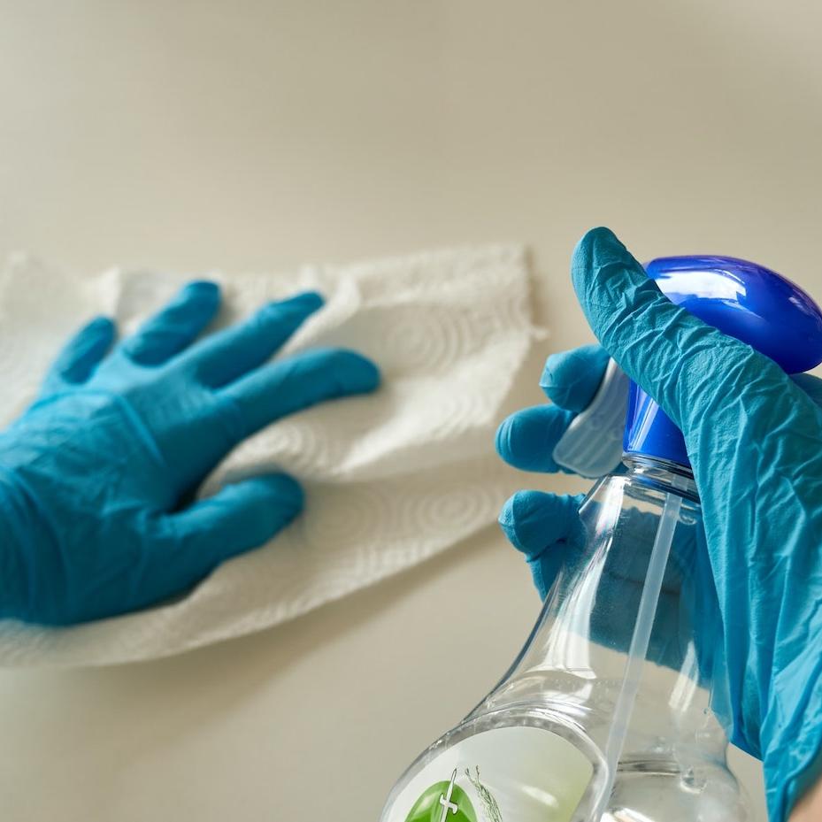 Domestic Workers