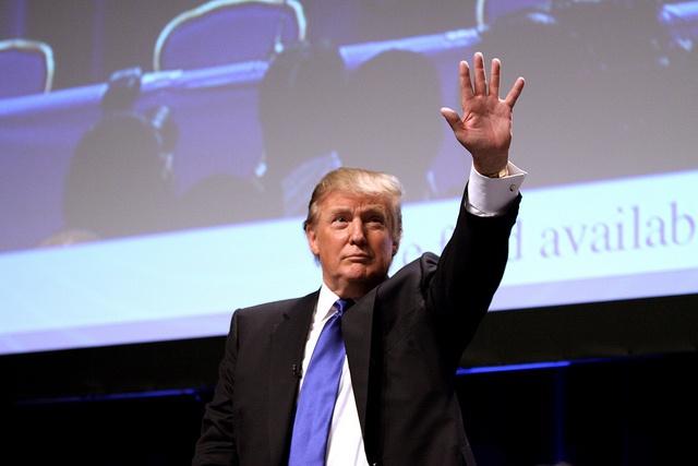 Donald-Trump-the-would-be-protector-in-chief.jpg