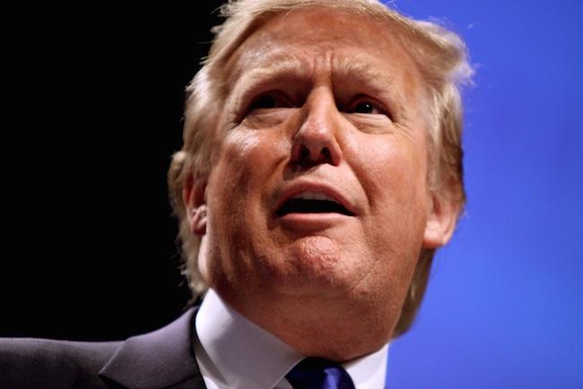 Dpnald-Trump-wind-bird-deaths.jpg