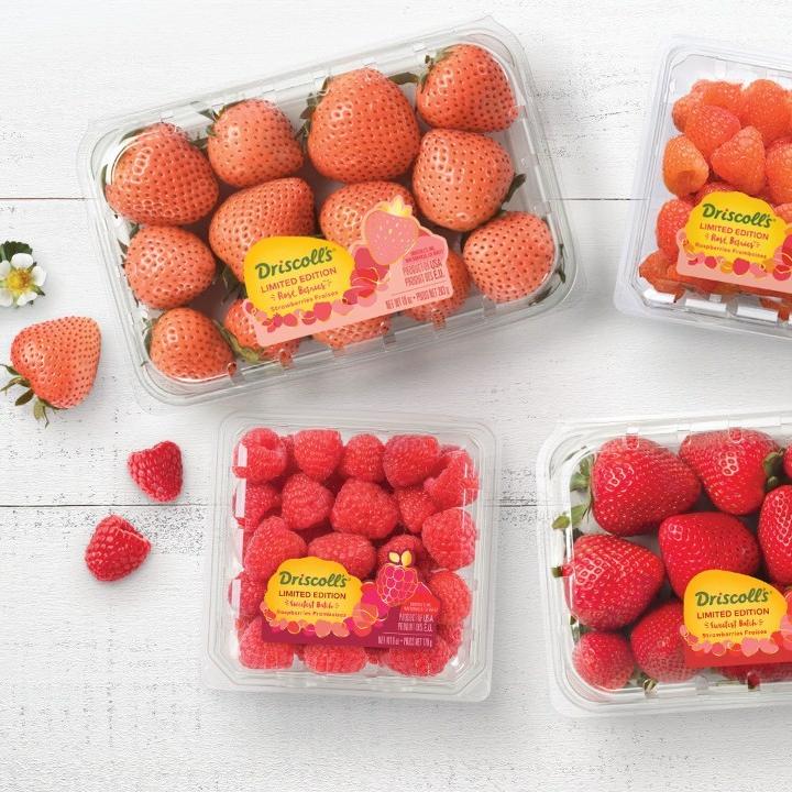 Driscoll's berry