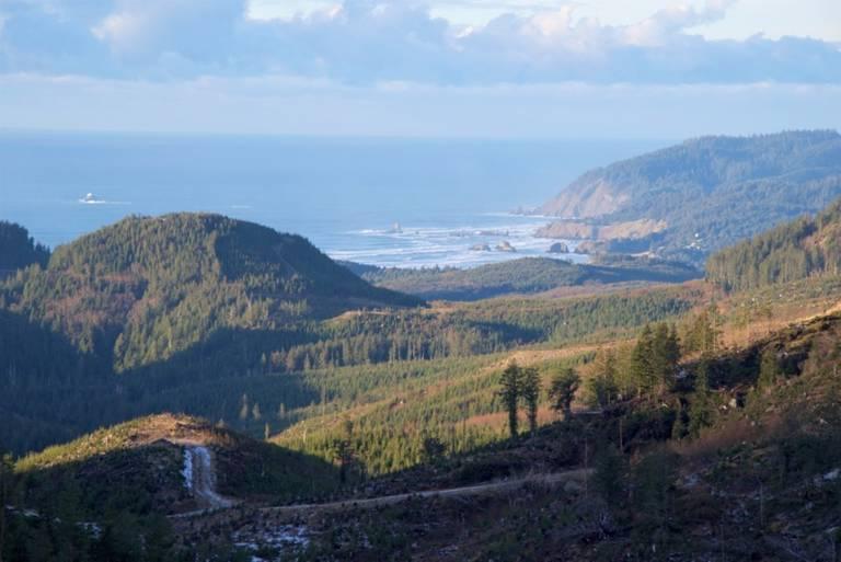 Ecola-Point_source-EFM.jpg