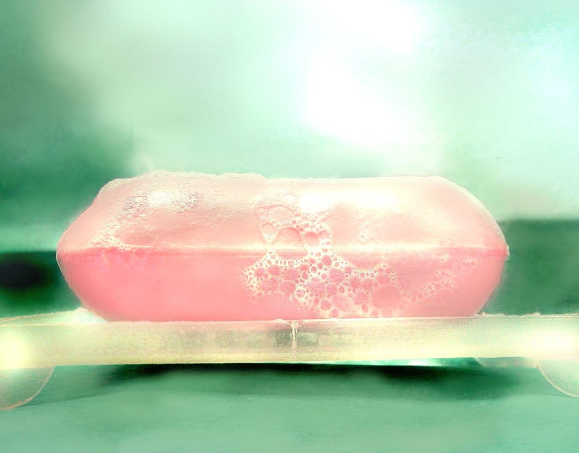 FDA-bans-triclosan-in-soap.jpg FDA-bans-triclosan-in-soap.jpg
