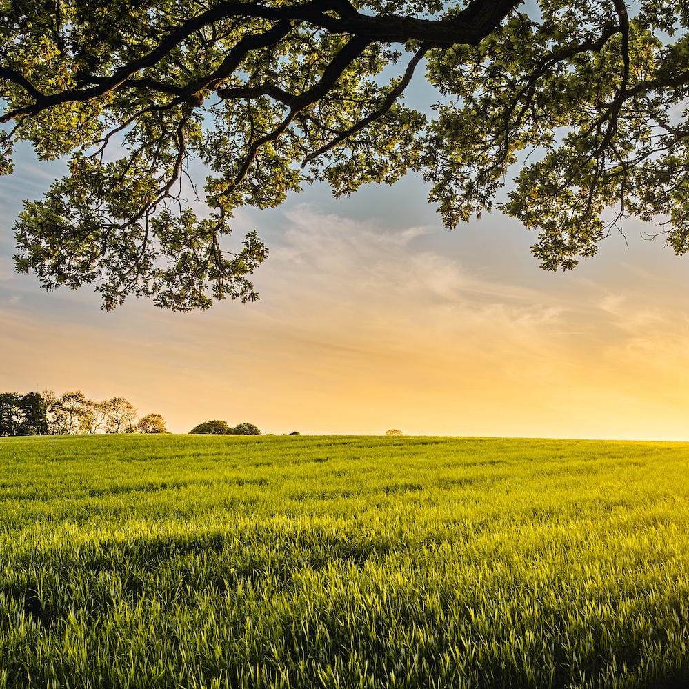 Farm fields during daytime - potential for carbon sequestration in soil
