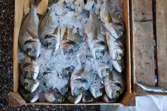 Fish-in-crate.jpg