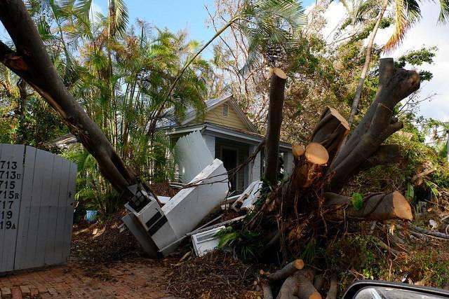 Florida_solar_Cayobo.jpg
