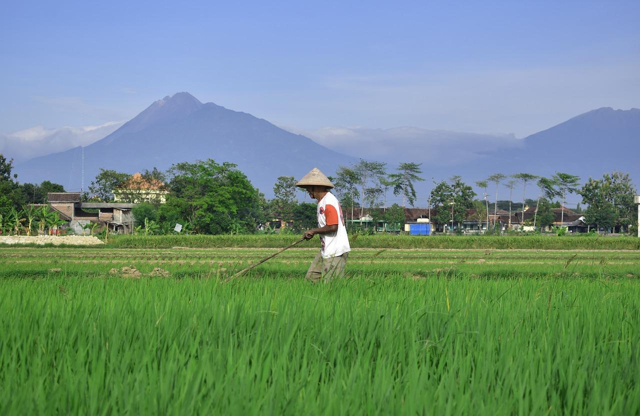 Food-sustainability-2019.jpg